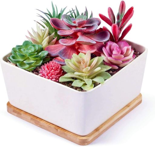 The white square succulent planter’s approximate size are 7 x 7 x 3.5 inch,Notice : Succulent plants Not Included.