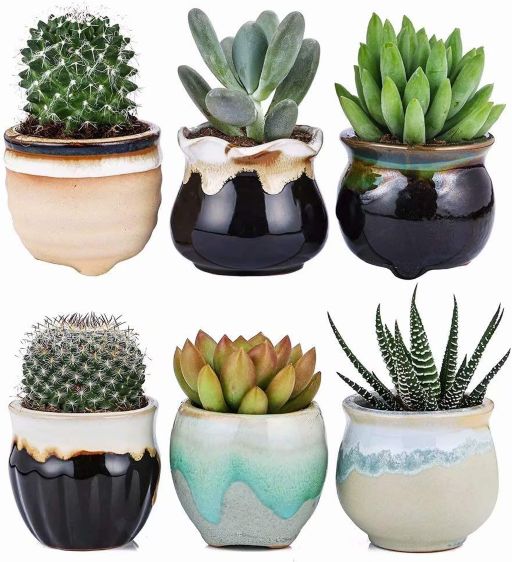 2.5 Inch Ceramic Planters,Flowing Glaze Succulent Planters Cactus Flower Plant Pot/Container Mini Succulent Plant Pots Black White Base Serial 6pcs in Set Plants Not Included