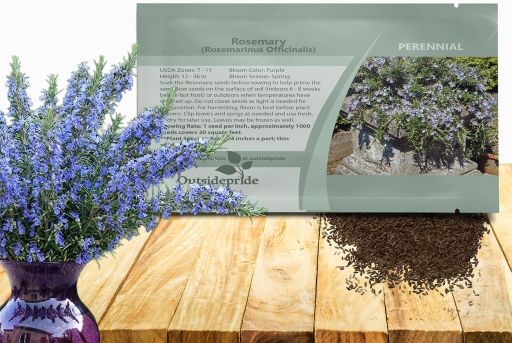 1000 Pcs. Perennial Ground Cover, Drought-Tolerant, Easy to Grow Herb Seeds for Planting, Attracts Pollinators, Great for Gardens, Containers, & Culinary Use