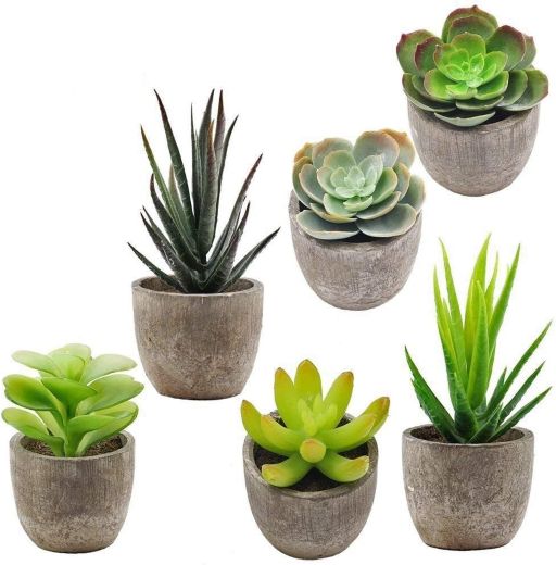 Supla 6 Pcs Assorted Potted Succulents Plants Decorative Artificial Succulent Plants Potted Faux Cactus Aloe with Gray Pots Artificial Topiary Plant Potted