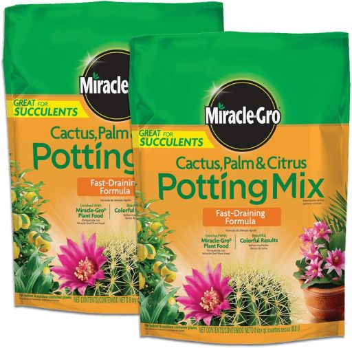 Palm and Citrus Potting Mix, for Indoor or Outdoor Potted Plants, Great for Succulents, 8 qt., 2-Pack