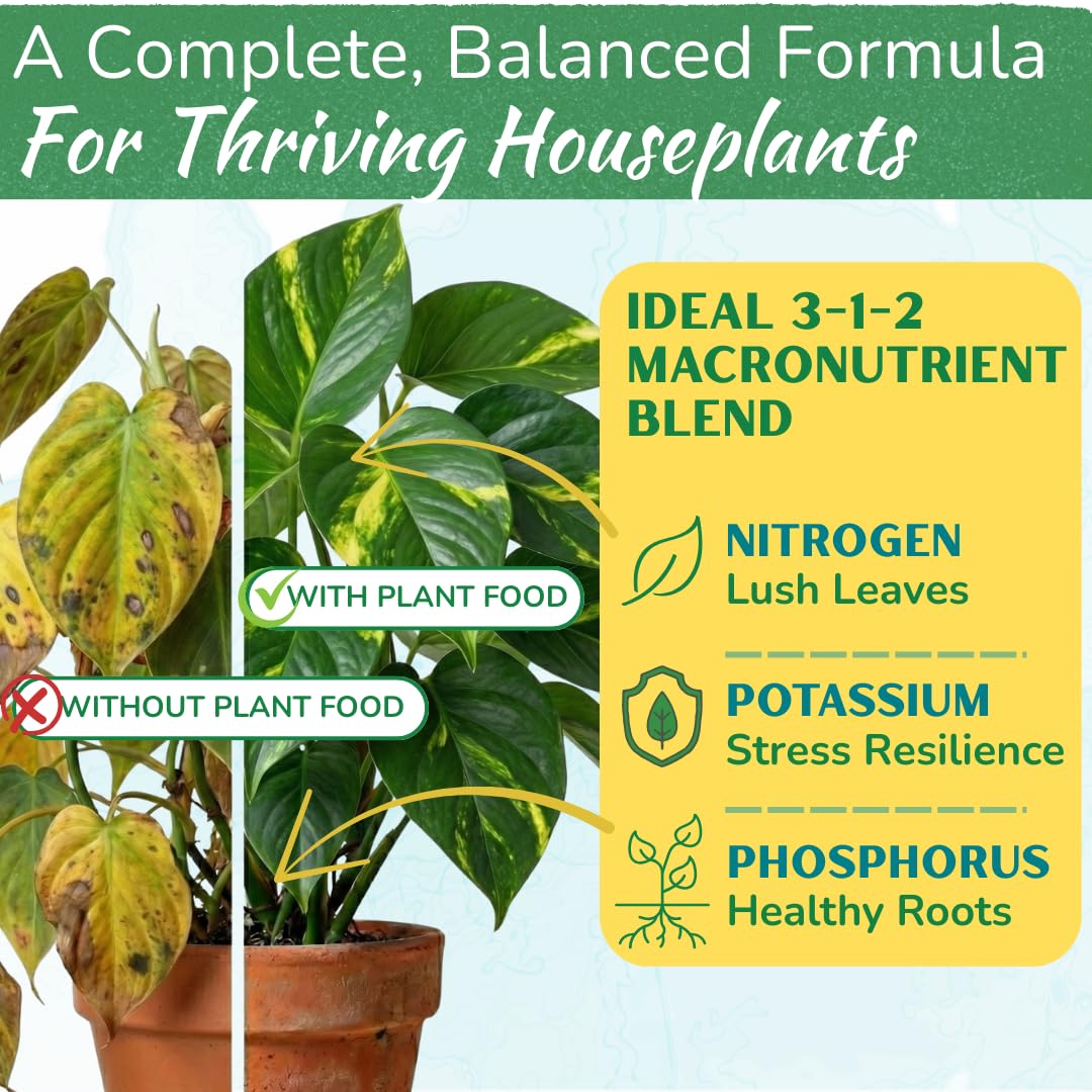 Specially formulated for sensitive roots, this urea-free liquid fertilizer provides gentle yet effective nourishment. This non-burning formula delivers essential nutrients without the risk of overfeeding or salt buildup, ensuring your plants thrive.